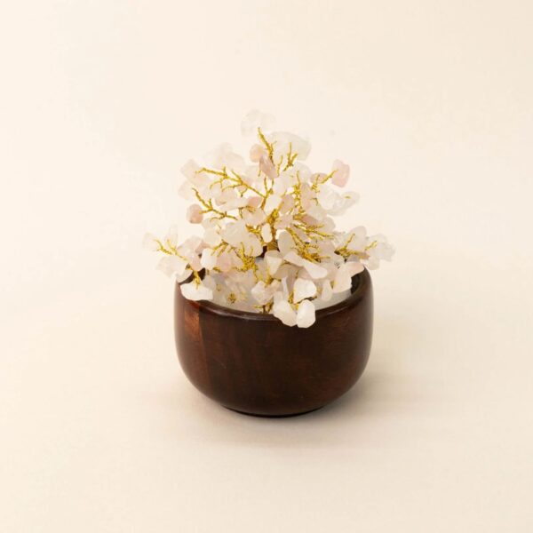 Rose quartz Crystal Tree with Wooden Base 150 beads
