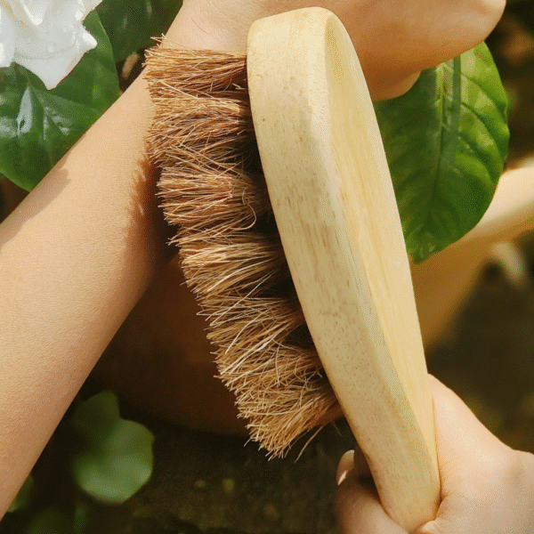 Natural Wooden Body Brush with Long Handle - Image 2